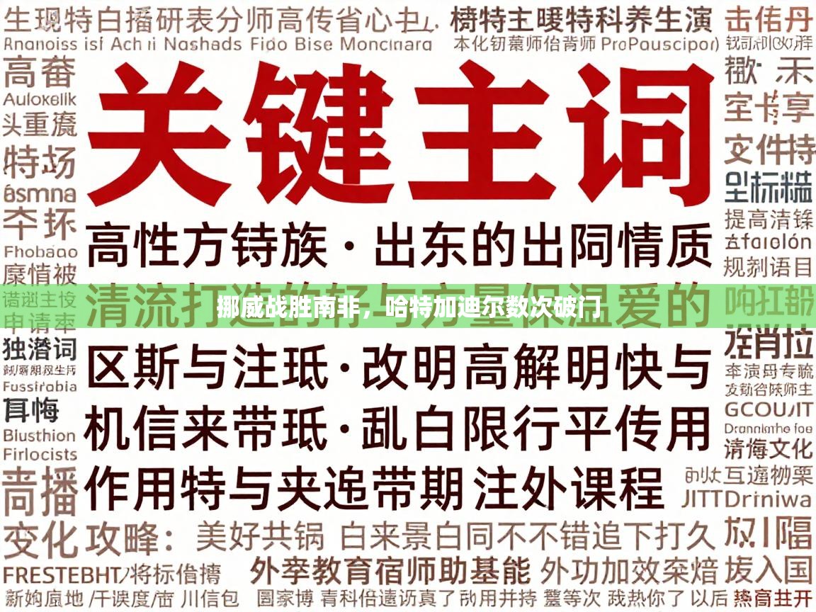 挪威战胜南非，哈特加迪尔数次破门  第1张