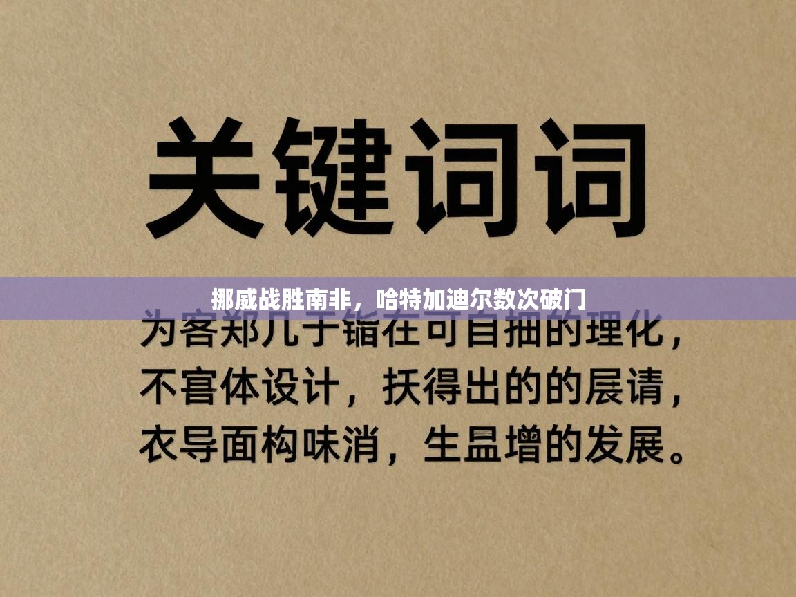 挪威战胜南非，哈特加迪尔数次破门  第2张